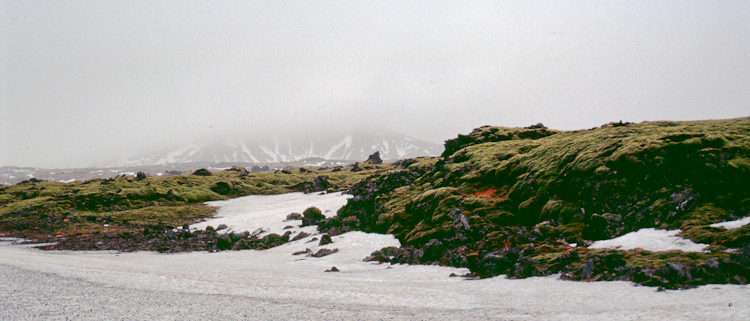 Icelandic Contrasts - Lava-Snow-Moss